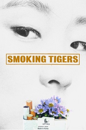 Image Smoking Tigers