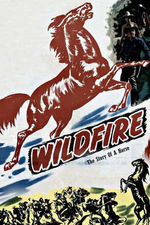 Wildfire