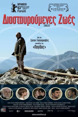 Poster Διασταυρούμενες Ζωές 2013