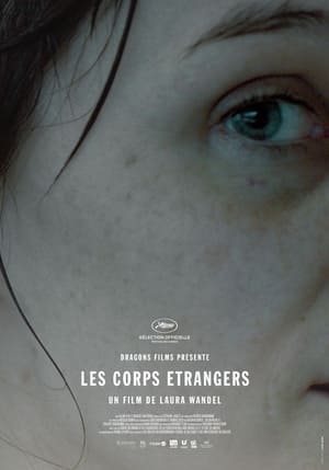 Poster Les corps étrangers 2014