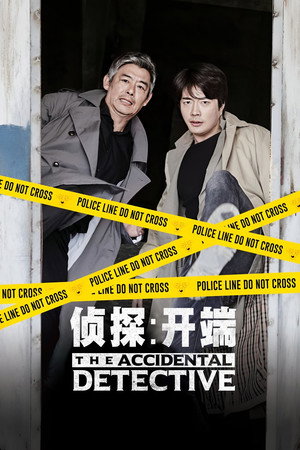 The Accidental Detective 9