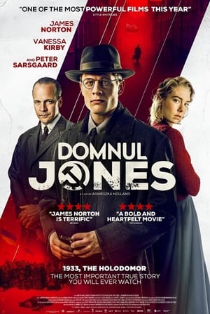 Poster Domnul Jones 2019