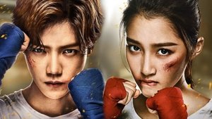 Sweet Combat สังเวียนรักยอดนักสู้ (2018)