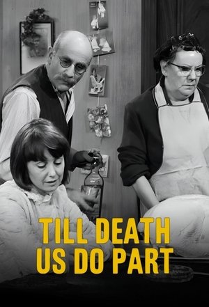 Saison 5