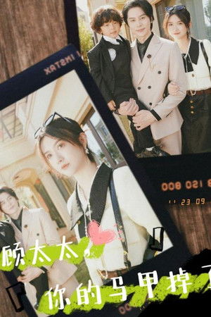 顾太太，你的马甲掉了