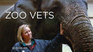 Zoo Vets: 1×2