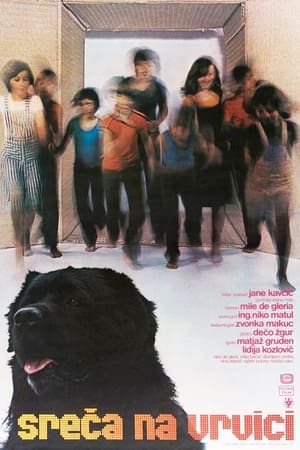 Poster Hang on, Doggy (1977)