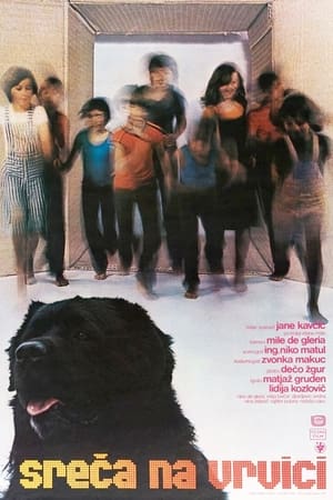 Poster Hang on, Doggy 1977