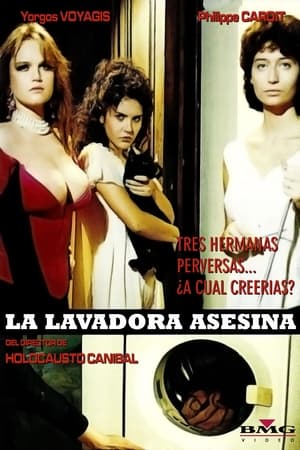 Poster La Lavadora Asesina 1993