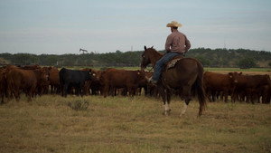 Cowboys Without Borders (2020)