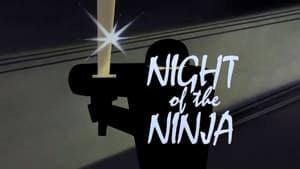 Batman : La Série animée - Batman : La Série animée - Saison 1 - La Nuit du ninja - image n°5