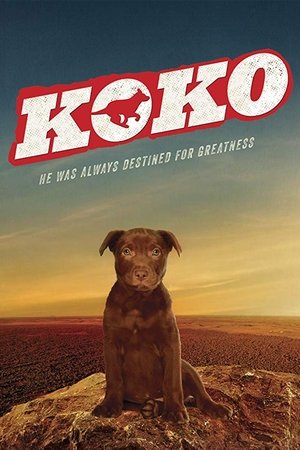Koko: A Red Dog Story Koko: A Red Dog Story
