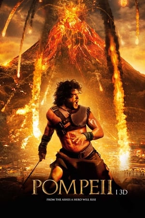 Poster Pompeii 2014