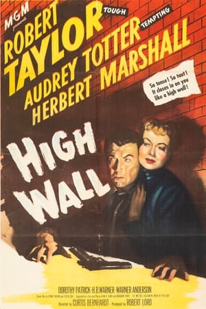 High Wall poster