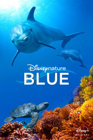 Dolphin Reef 16