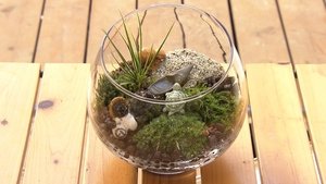 Japanology Plus: 8×1