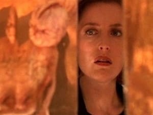 X-Files: Stagione 8 x Episodio 13