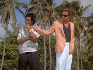 Miami Vice: 2×14