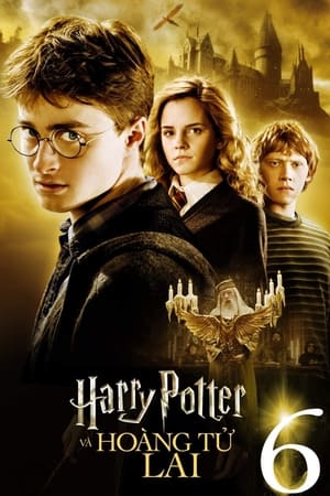 Poster Harry Potter và Hoàng Tử Lai 2009