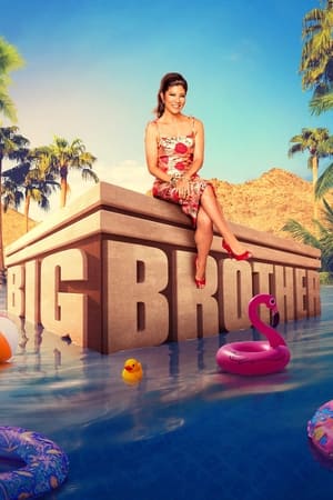 Big Brother (US) – Season 23