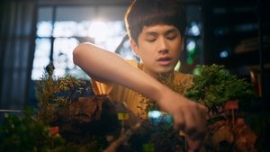 Lost in the Woods Season 1 Episode 1