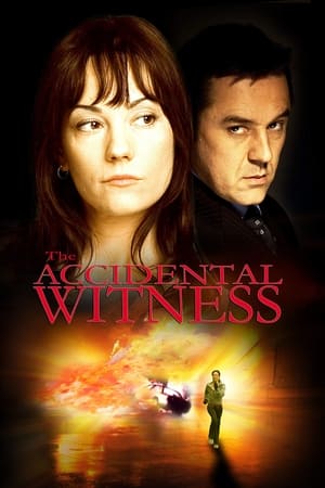 The Accidental Witness poster