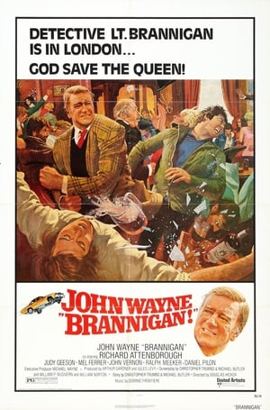 Click for trailer, plot details and rating of Brannigan (1975)