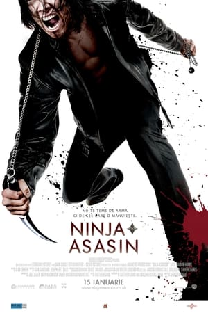 Poster Asasinul ninja 2009