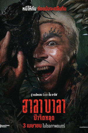 Halabala 14