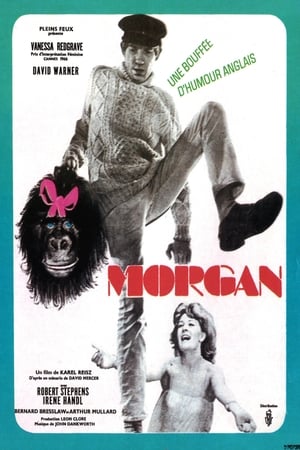 Image Morgan