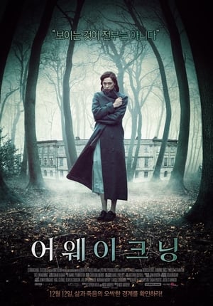 Poster 어웨이크닝 2011