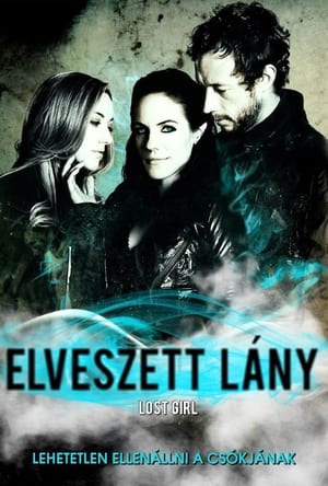 Poster Elveszett lány 2010