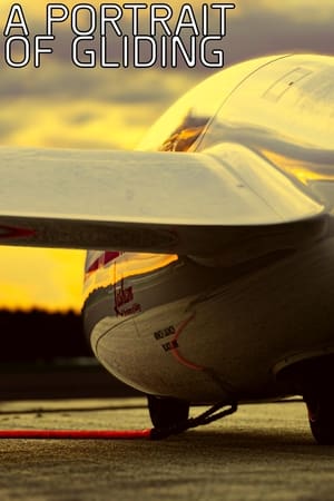 Image A Portrait of Gliding