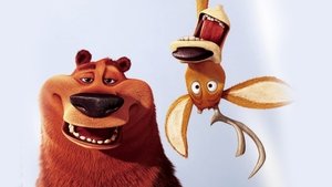 فيلم كرتون الموسم المفتوح open season مدبلج عربي من كرتون نتورك