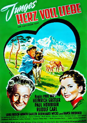 Poster Junges Herz voll Liebe (1953)