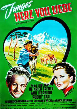 Poster Junges Herz voll Liebe 1953