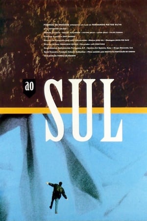 Poster Ao Sul 1995