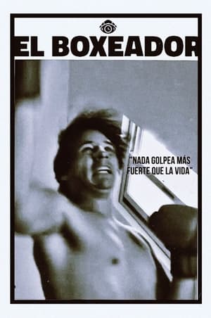 Poster El Boxeador 2022