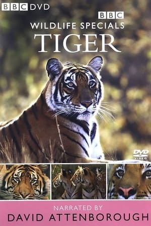 Poster Tiger: The Elusive Princess 1999