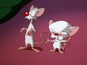 Pinky & der Brain: 3×34