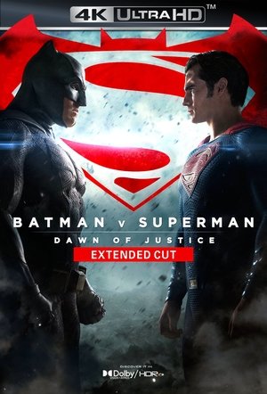 poster Batman v Superman: Dawn of Justice