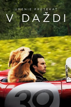 Poster Umenie pretekať v daždi 2019