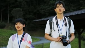 写真甲子園 0.5秒の夏