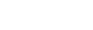 Espías con disfraz — Logos 8