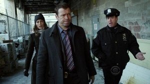 Blue Bloods Temporada 1 Capitulo 17