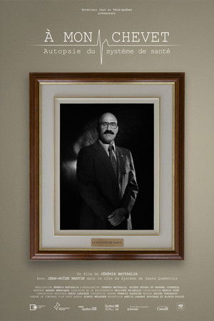 À mon chevet : autopsie du système de santé