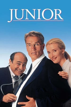 Poster Junior 1994