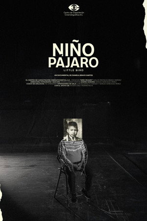Niño pájaro