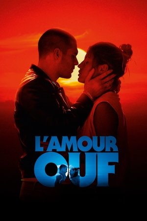 Image L'Amour ouf