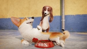 Corgi, las mascotas de la reina Película Completa HD 1080p [MEGA] [LATINO] 2019